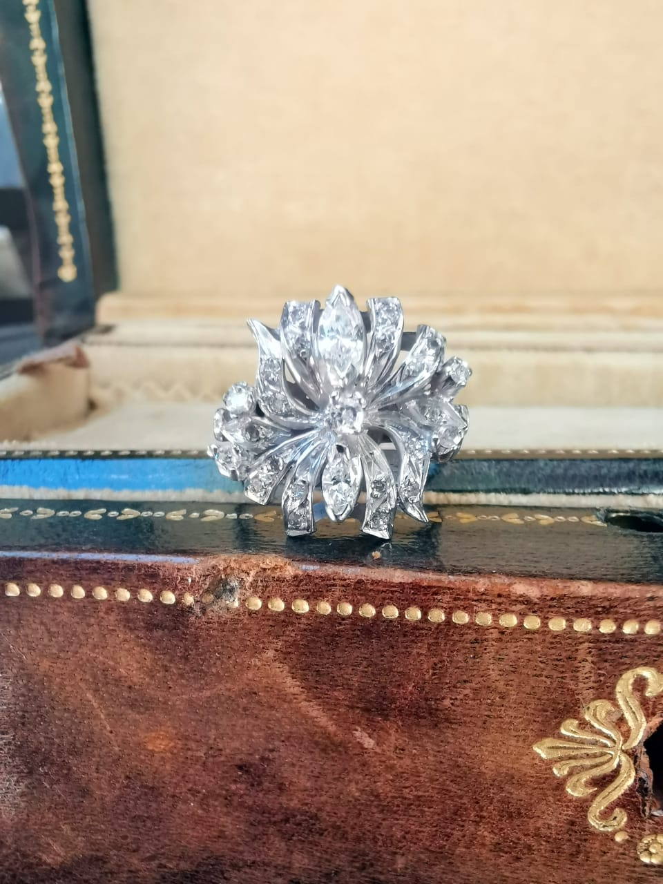 Roseta 0.48ct - Imagen 6