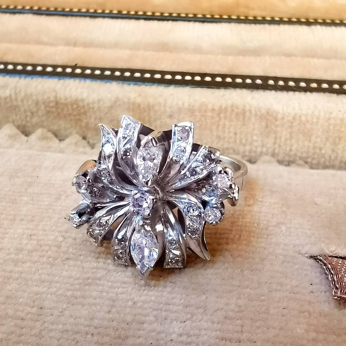 Roseta 0.48ct - Imagen 4